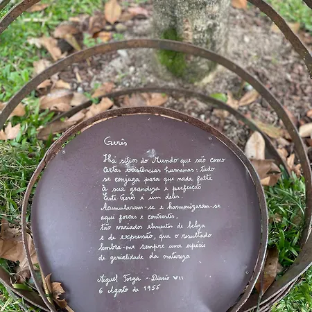 Retiro Andorinhas - *